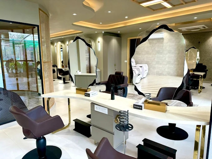 Elegant salon reception interior